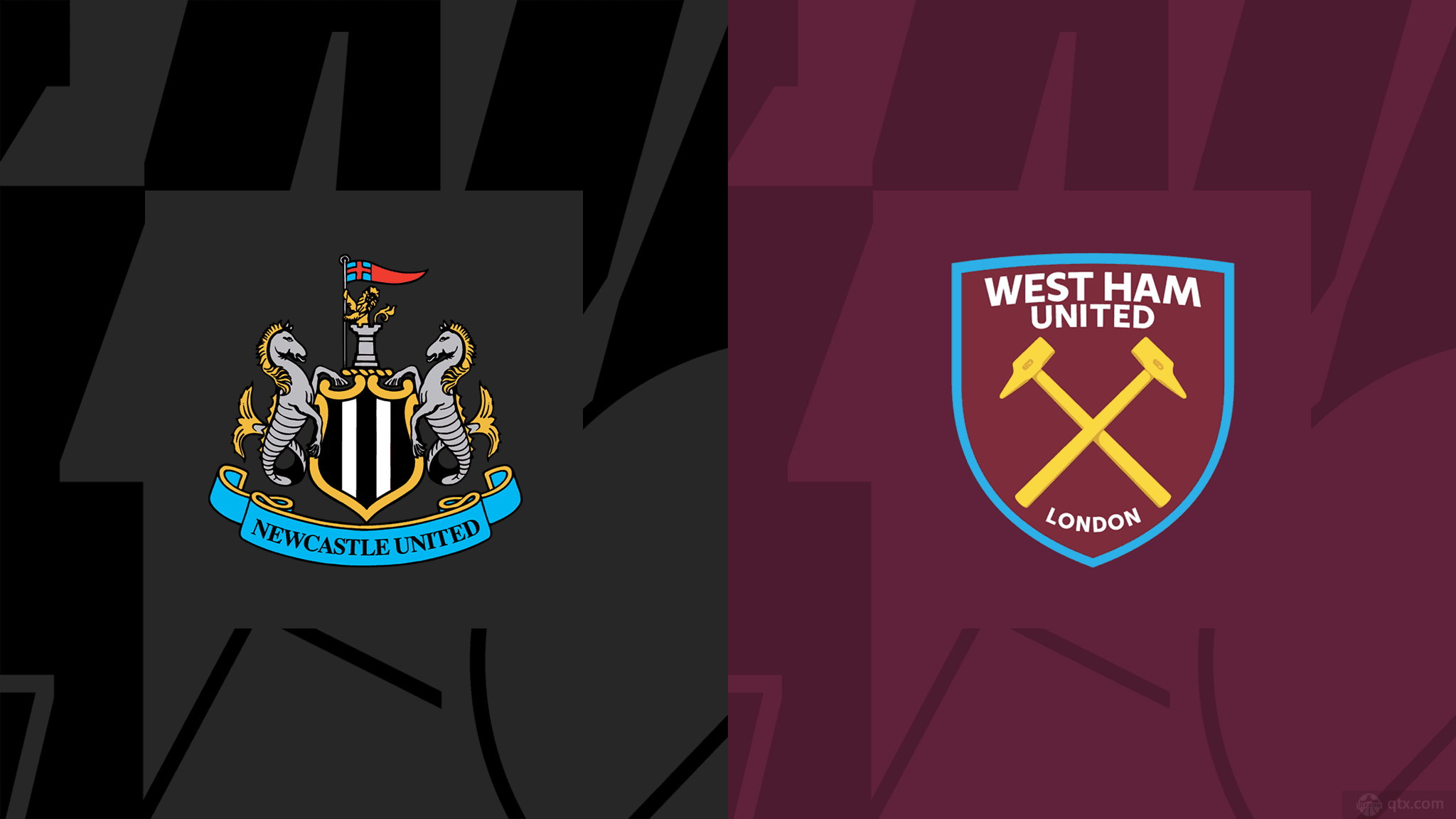 自己的全面 自己的全面